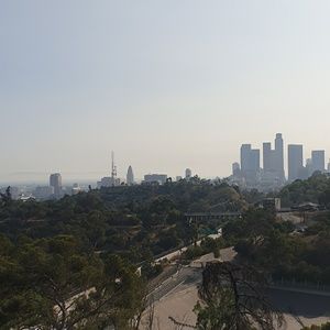 Meet your Posher, Henry